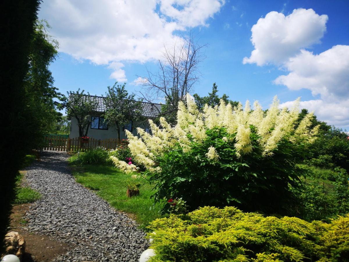 Agroturystyka U Kozdryka เลชนา ภายนอก รูปภาพ