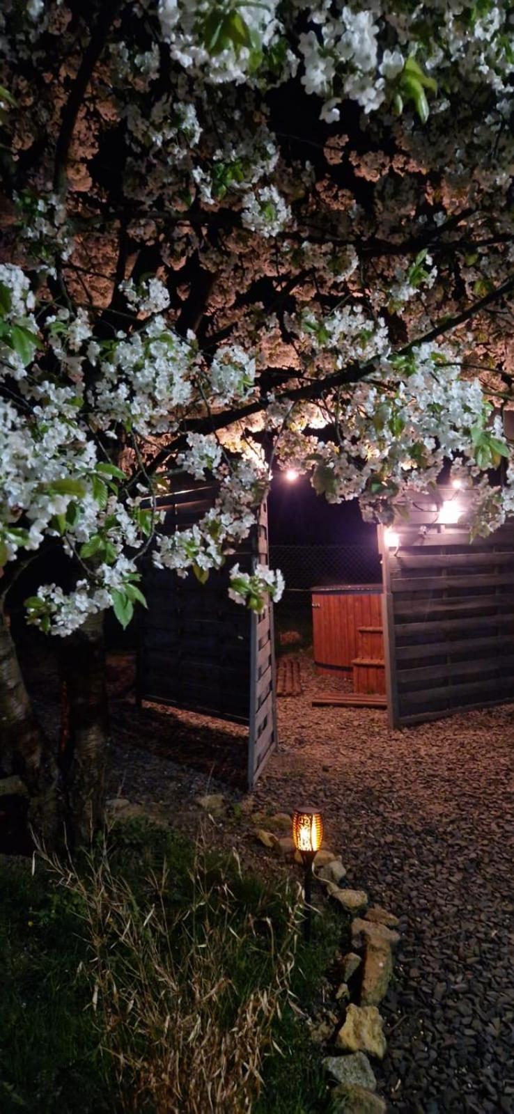 Agroturystyka U Kozdryka เลชนา ภายนอก รูปภาพ